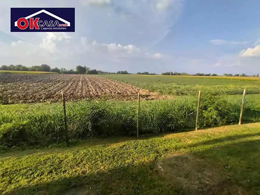 Immagine 16 di Appartamento in vendita  in Via Asiola a Bagnaria Arsa