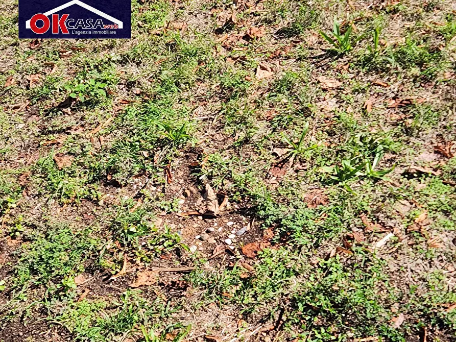 Immagine 8 di Rustico / casale in vendita  in via bogoni 20 a Villafranca Di Verona