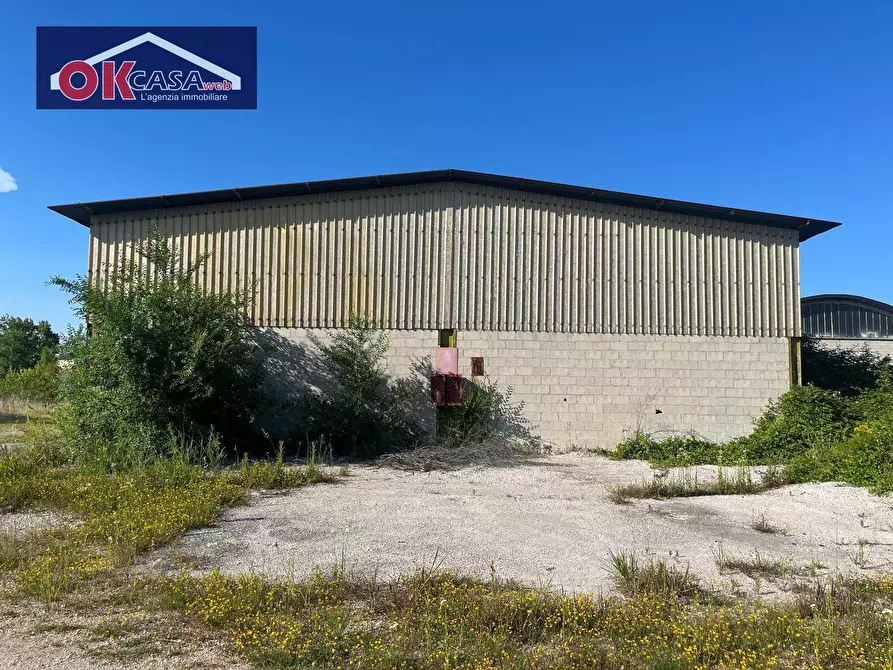 Immagine 1 di Capannone industriale in affitto  in Via Schiavetti a Monfalcone