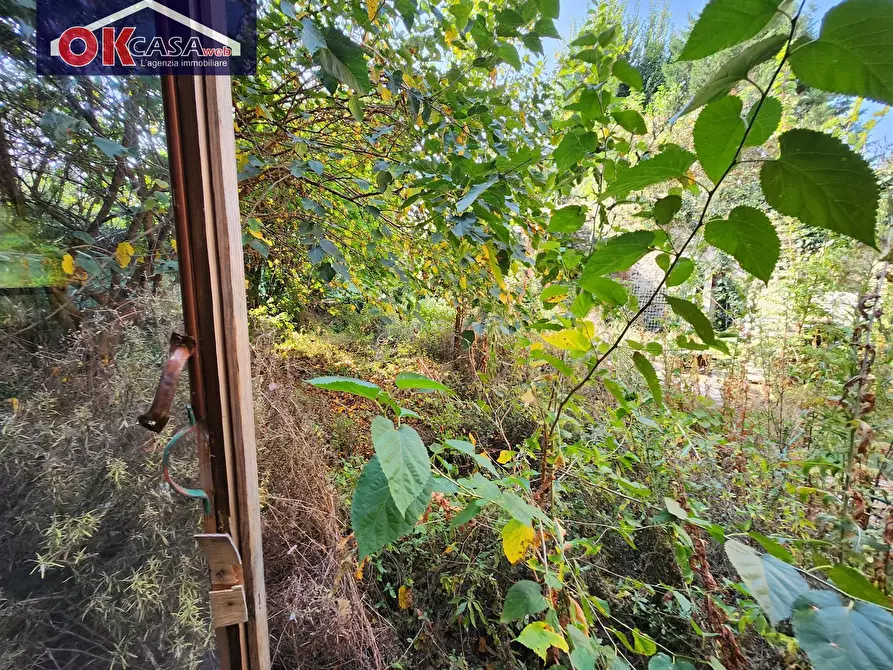 Immagine 17 di Rustico / casale in vendita  in via primo maggio a Zevio