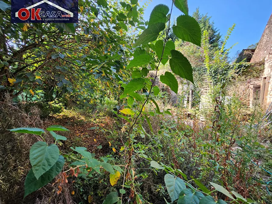 Immagine 18 di Rustico / casale in vendita  in via primo maggio a Zevio