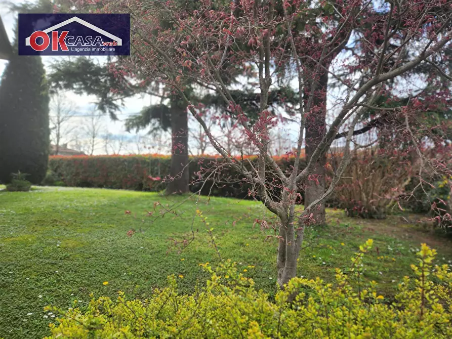 Immagine 36 di Villa in vendita  in Via Barbaresco a Buttapietra