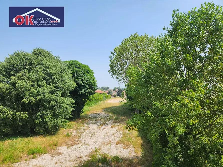 Immagine 20 di Appartamento in vendita  in via Pontida a Angiari