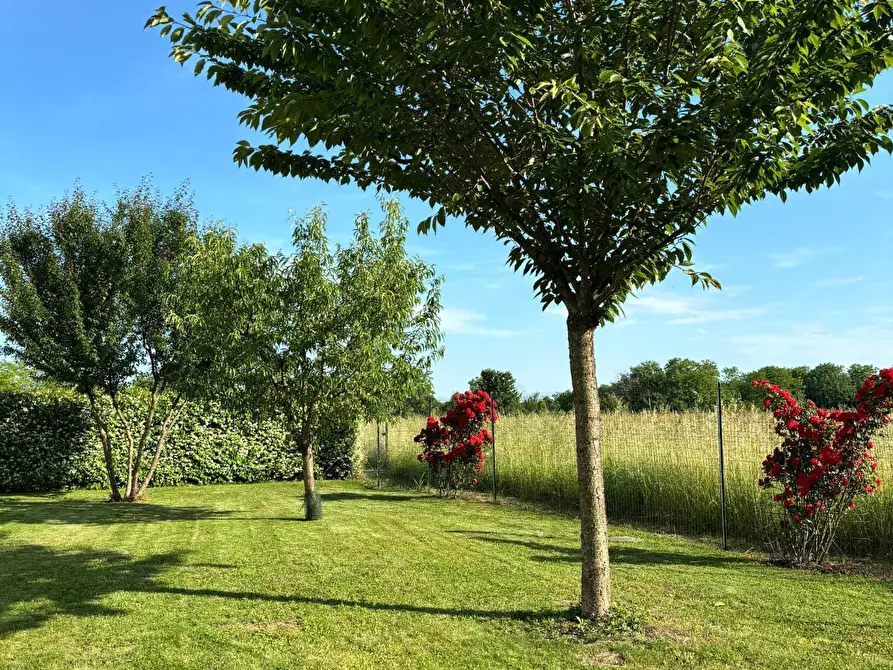 Immagine 26 di Villa in vendita  in Via Leghissa 22 a San Pier D'isonzo