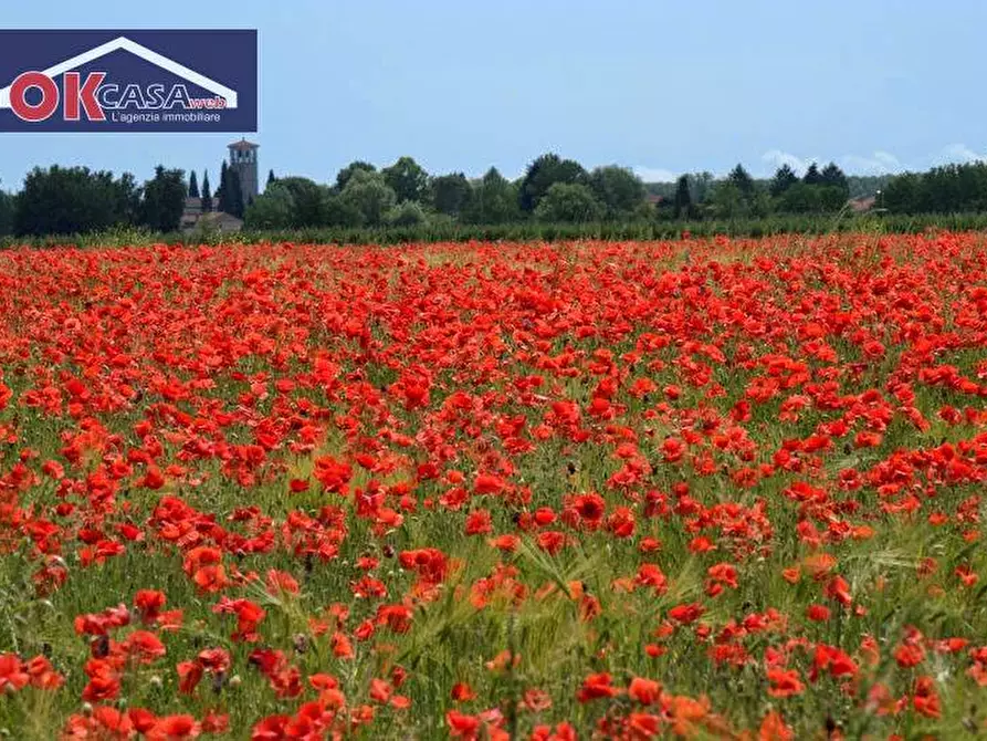 Immagine 6 di Terreno residenziale in vendita  in Via Ruggero Grieco a San Canzian D'isonzo