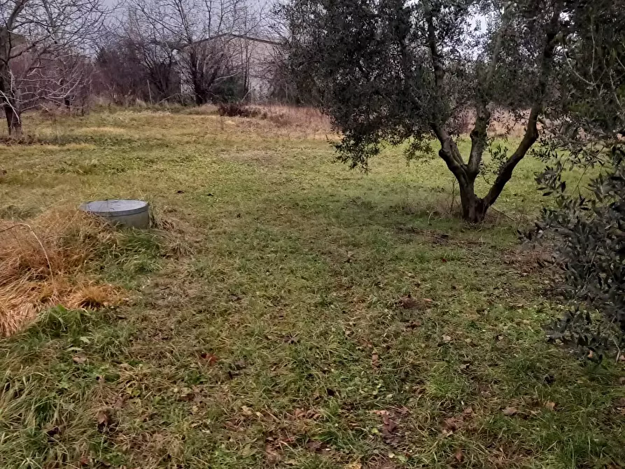 Immagine 6 di Terreno agricolo in vendita  in Campo da Baseball a Staranzano