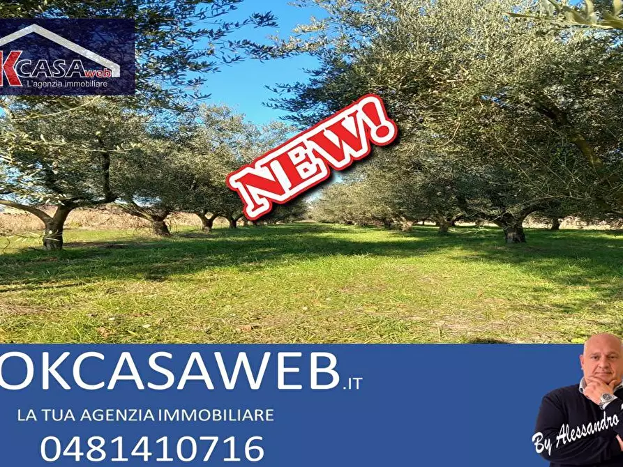 Immagine 1 di Terreno agricolo in vendita  in Campo da Baseball a Staranzano