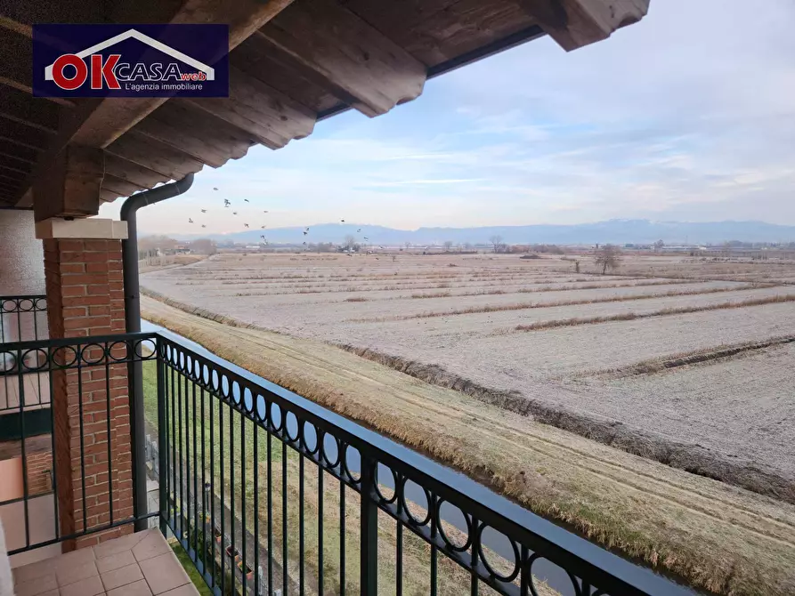 Immagine 6 di Appartamento in affitto  in via Spinetti a Angiari