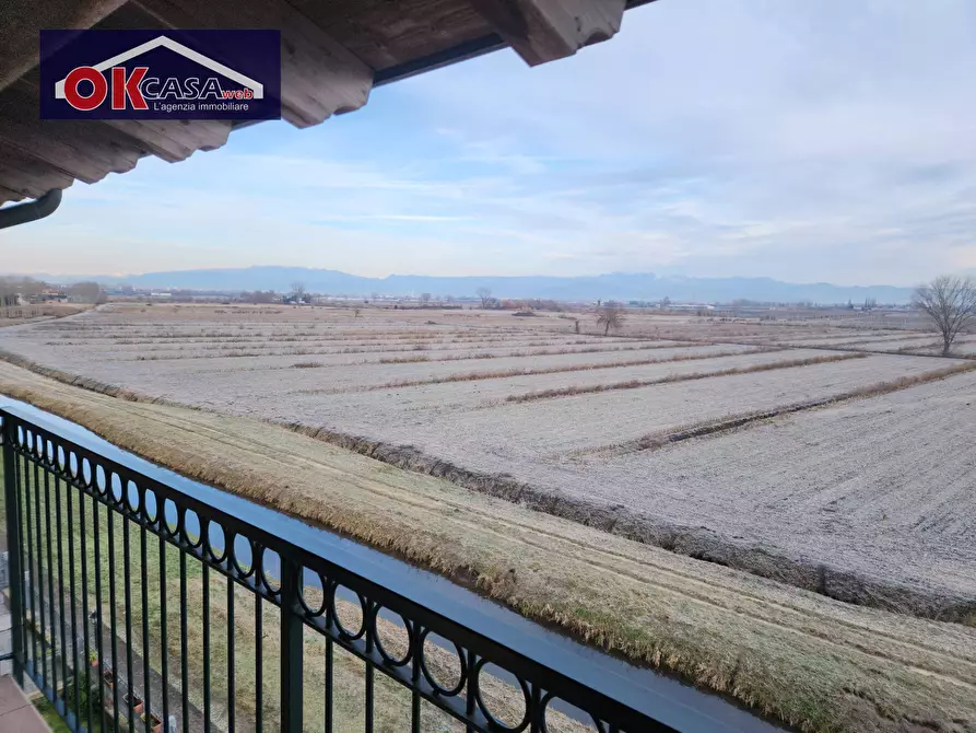 Immagine 7 di Appartamento in affitto  in via Spinetti a Angiari