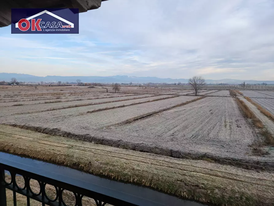 Immagine 8 di Appartamento in affitto  in via Spinetti a Angiari