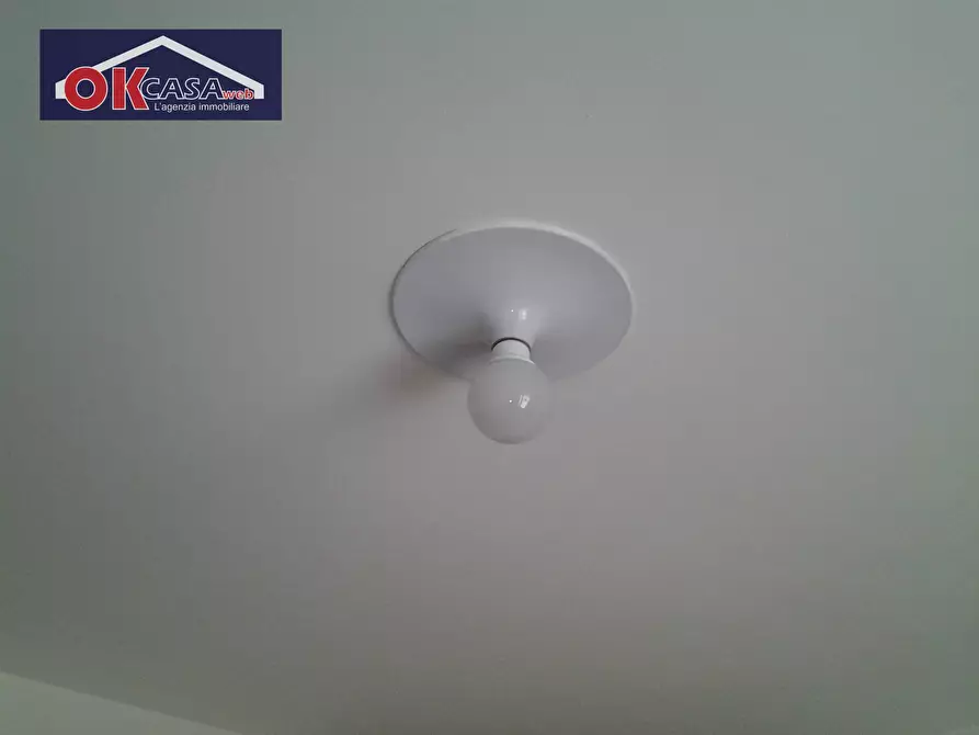 Immagine 13 di Ufficio in affitto  in cavour 130 a Zevio