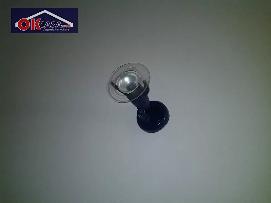 Immagine 17 di Ufficio in affitto  in cavour 130 a Zevio