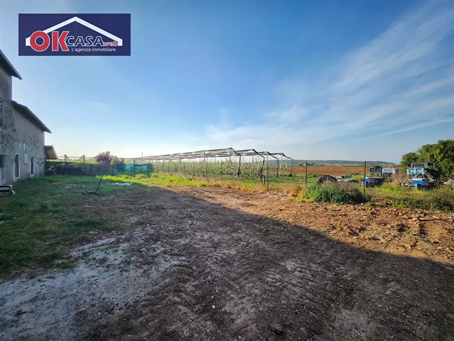 Immagine 5 di Rustico / casale in vendita  in località pozzi a Valeggio Sul Mincio