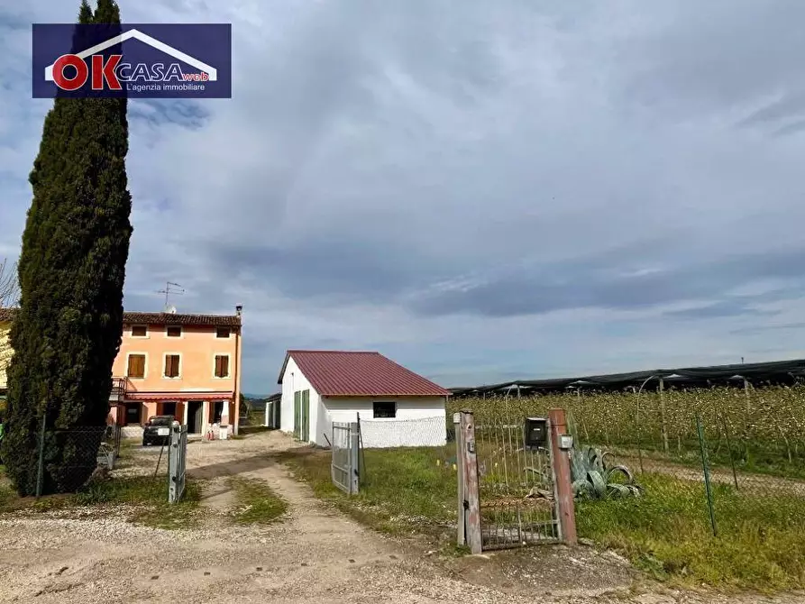 Immagine 1 di Rustico / casale in vendita  in località pozzi a Valeggio Sul Mincio