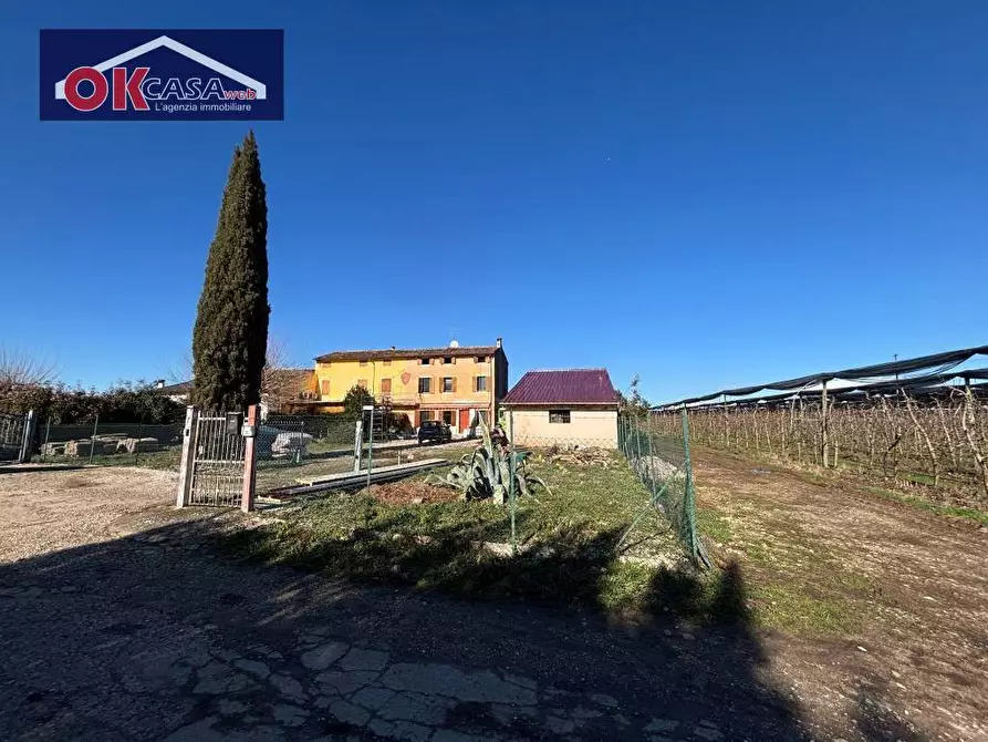 Immagine 2 di Rustico / casale in vendita  in località pozzi a Valeggio Sul Mincio