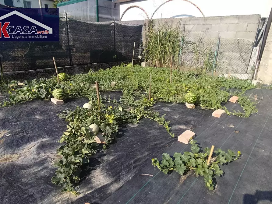 Immagine 7 di Casa indipendente in vendita  in Via dei Tre Busti a Villa Vicentina