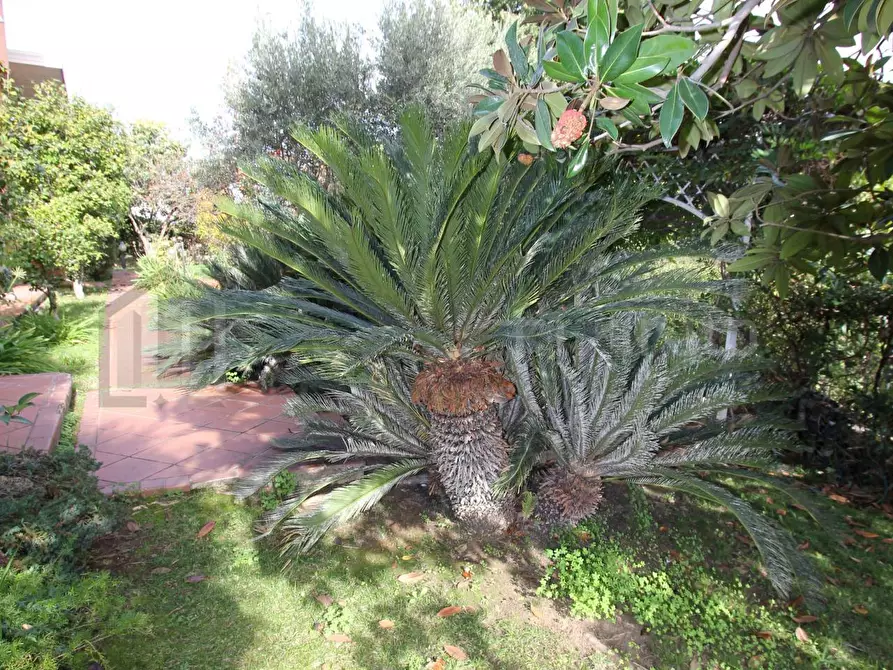 Immagine 16 di Villa in vendita  in VIA AMEDEO MODIGLIANI 12 a Rende