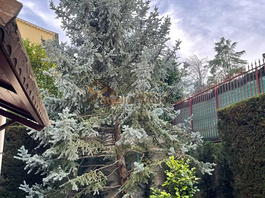 Immagine 3 di Appartamento in affitto  in VIA FALCONE E BORSELLINO 21 a Altilia