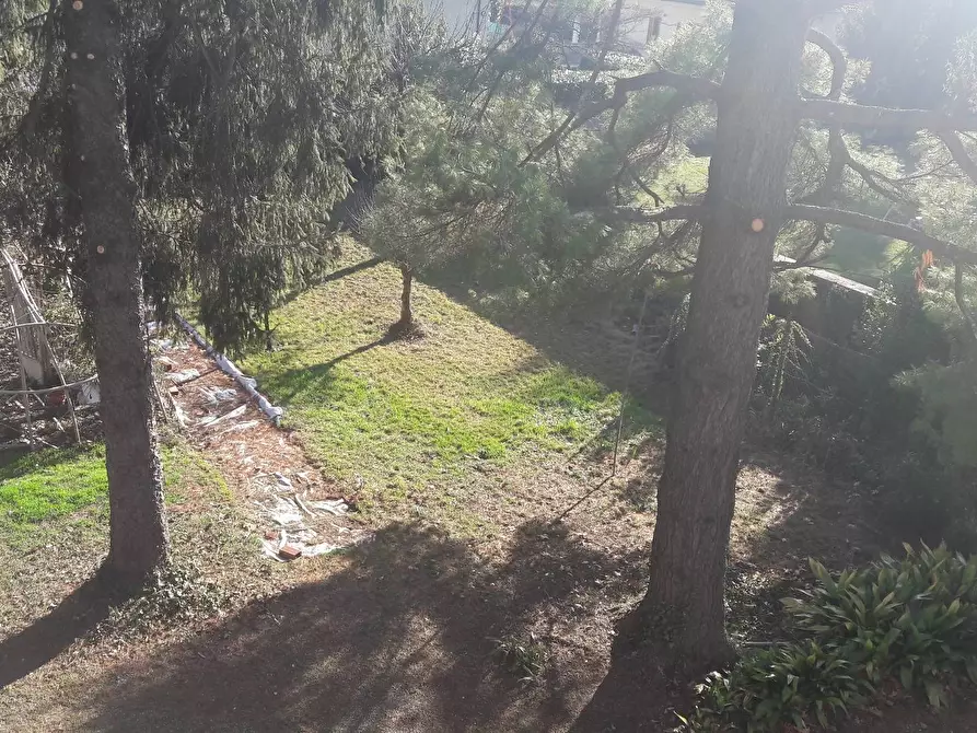 Immagine 10 di Villa in vendita  a Besano