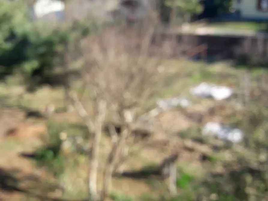 Immagine 12 di Villa in vendita  a Besano