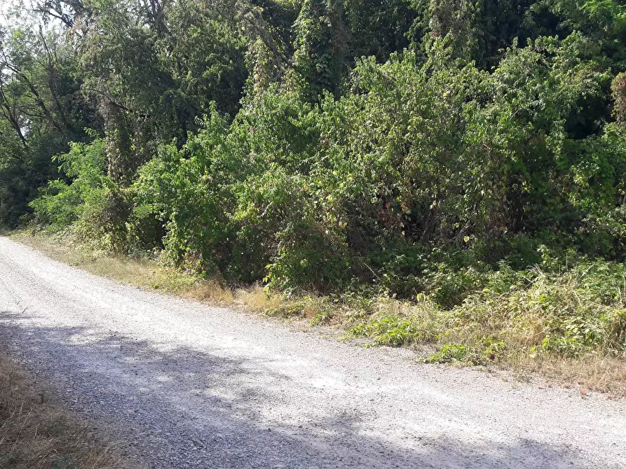 Immagine 3 di Terreno residenziale in vendita  in REDIPUGLIA a Samarate