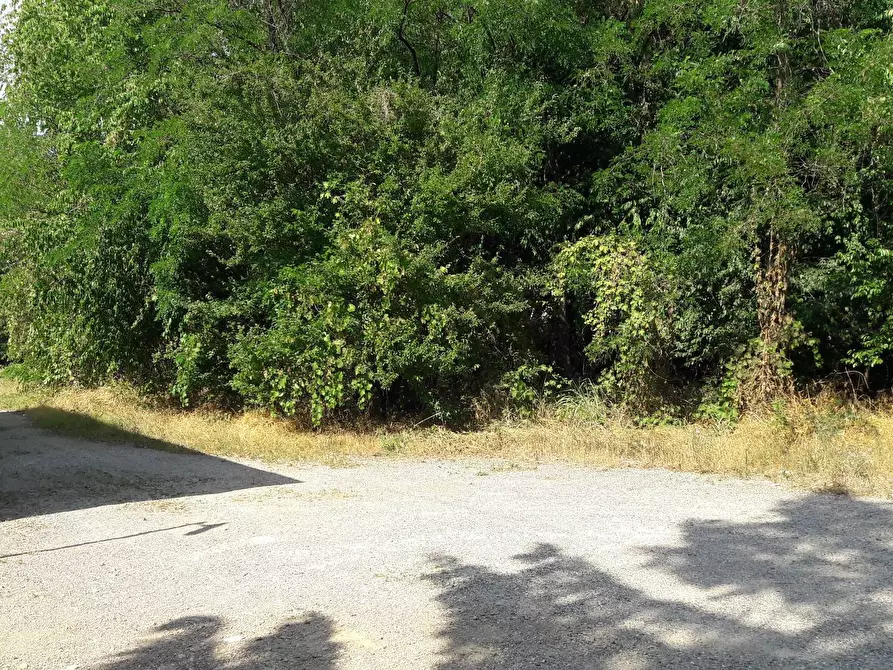 Immagine 5 di Terreno residenziale in vendita  in REDIPUGLIA a Samarate