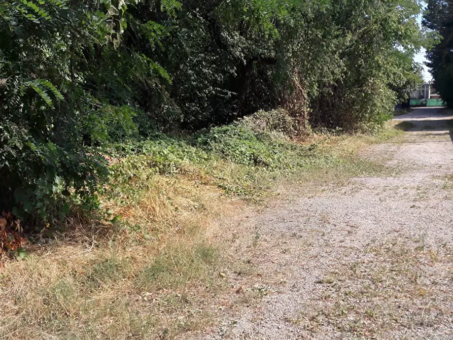 Immagine 1 di Terreno residenziale in vendita  in REDIPUGLIA a Samarate