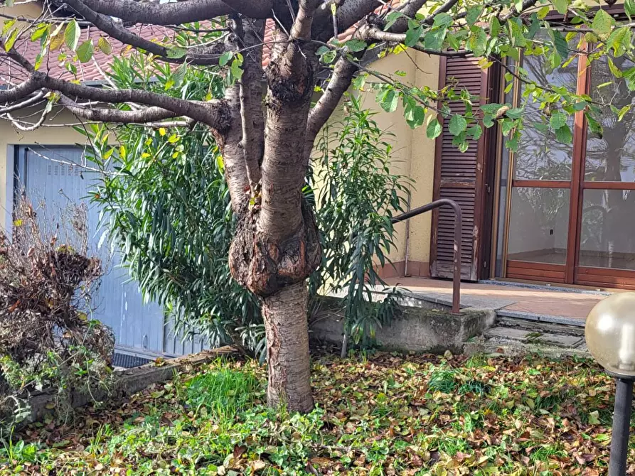 Immagine 4 di Villa in vendita  in Monte Grappa a Lonate Pozzolo