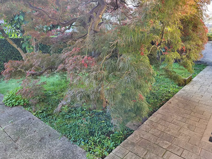 Immagine 5 di Villetta a schiera in vendita  in via Milano a Samarate