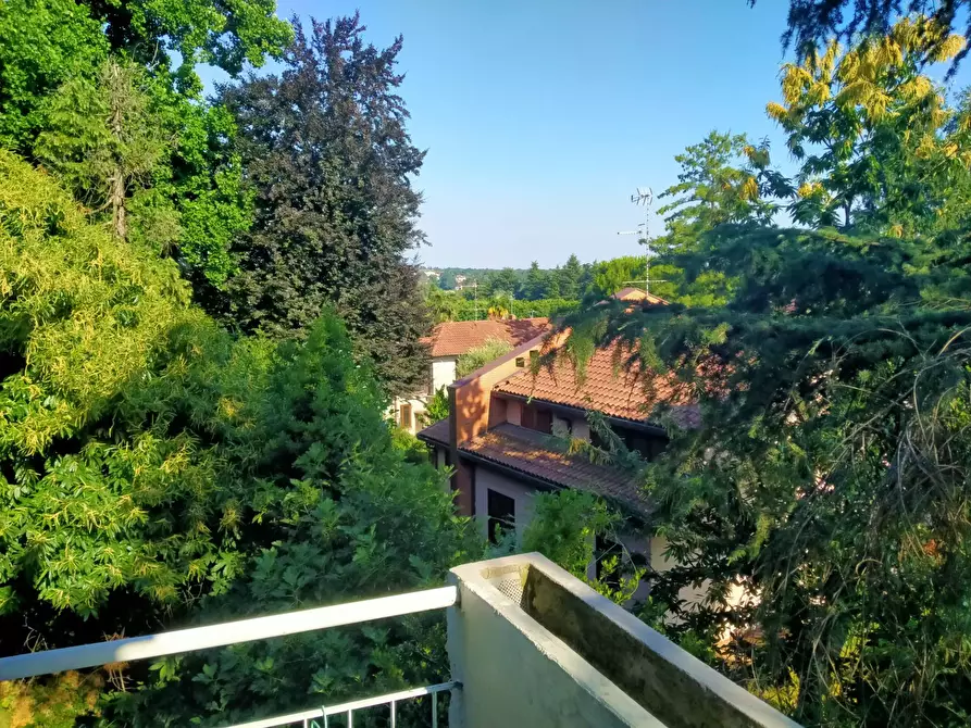 Immagine 7 di Appartamento in vendita  in manzoni 7 a Albizzate