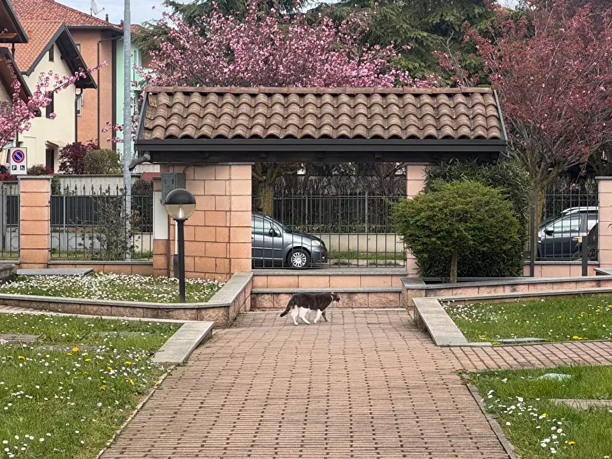 Immagine 20 di Appartamento in vendita  in Ugo Foscolo a Gorla Minore