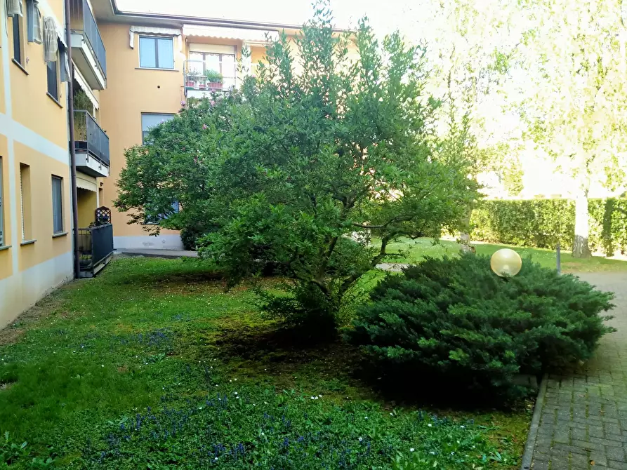 Immagine 40 di Appartamento in vendita  in uguaglianza 62 a Vergiate