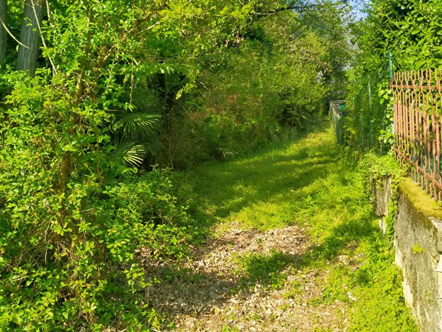 Immagine 6 di Terreno residenziale in vendita  in delle ville a Vergiate