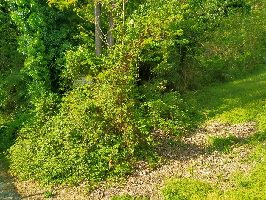 Immagine 7 di Terreno residenziale in vendita  in delle ville a Vergiate