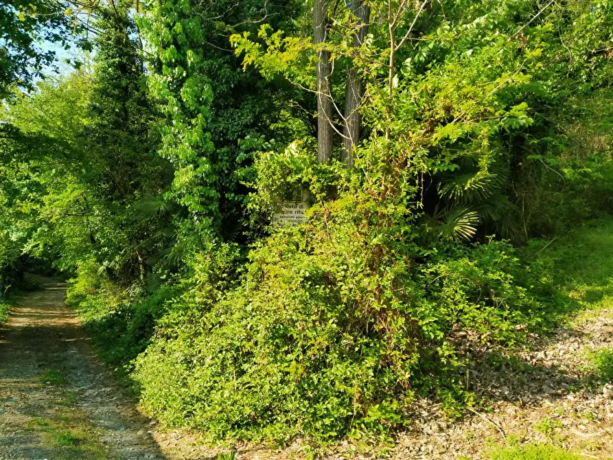 Immagine 9 di Terreno residenziale in vendita  in delle ville a Vergiate