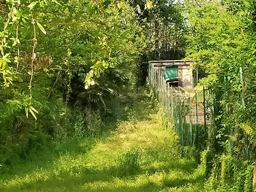 Immagine 10 di Terreno residenziale in vendita  in delle ville a Vergiate