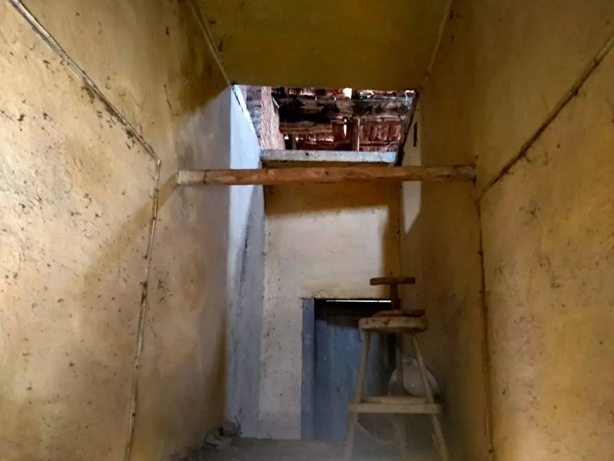 Immagine 31 di Casa indipendente in vendita  in trieste 12 a Carnago