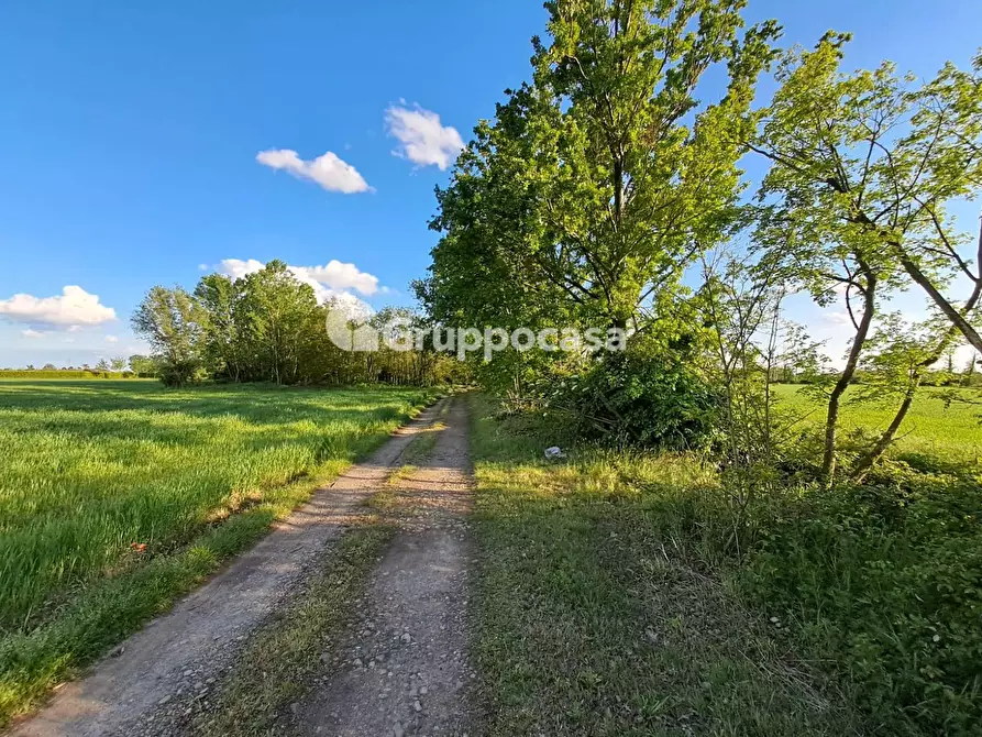 Immagine 1 di Terreno agricolo in vendita  in strada per corbetta a Robecco Sul Naviglio