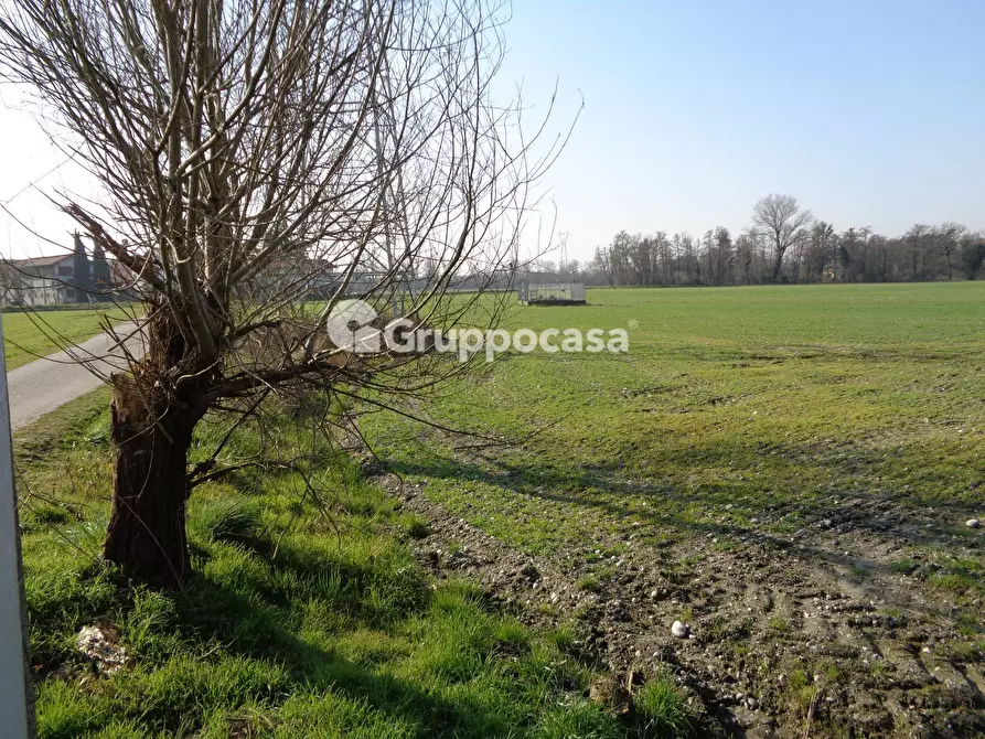 Immagine 4 di Terreno agricolo in vendita  in cascina madonnina a Bernate Ticino