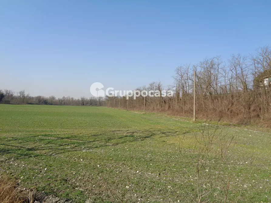 Immagine 6 di Terreno agricolo in vendita  in cascina madonnina a Bernate Ticino