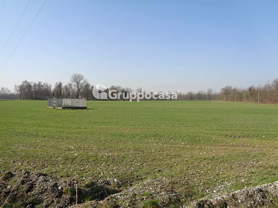 Immagine 8 di Terreno agricolo in vendita  in cascina madonnina a Bernate Ticino