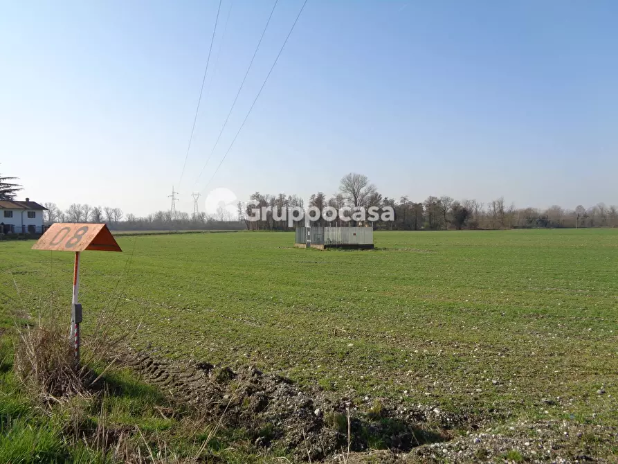 Immagine 10 di Terreno agricolo in vendita  in cascina madonnina a Bernate Ticino