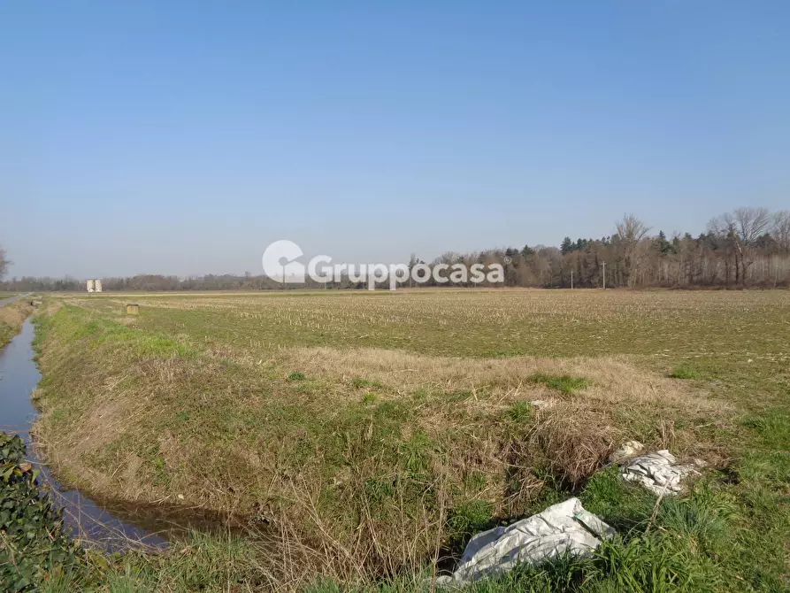 Immagine 11 di Terreno agricolo in vendita  in cascina madonnina a Bernate Ticino