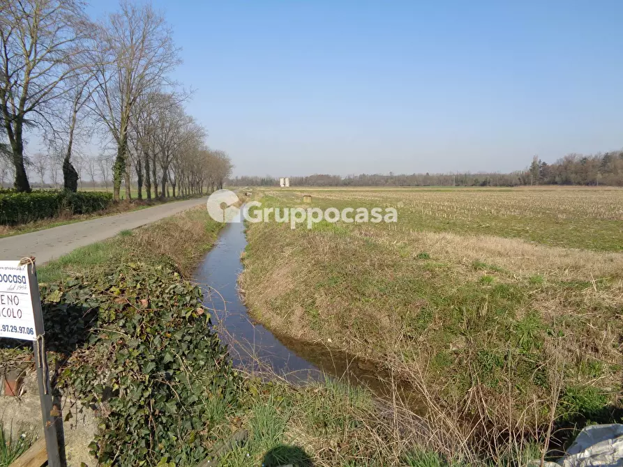 Immagine 7 di Terreno agricolo in vendita  in cascina madonnina a Bernate Ticino