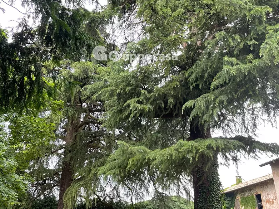 Immagine 19 di Villa in vendita  in Via Roma a Bernate Ticino