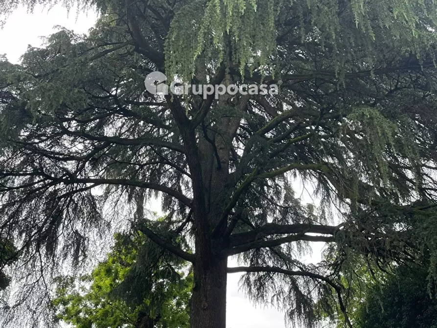 Immagine 25 di Villa in vendita  in Via Roma a Bernate Ticino