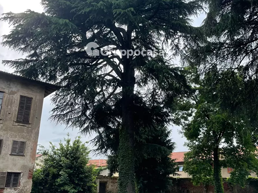 Immagine 7 di Villa in vendita  in Via Roma a Bernate Ticino