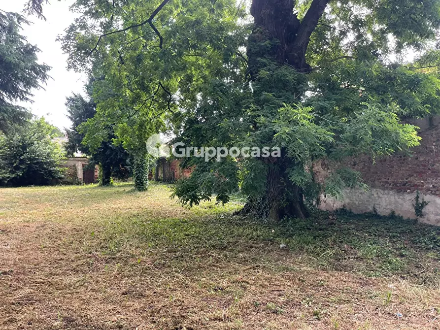 Immagine 26 di Villa in vendita  in Via Roma a Bernate Ticino