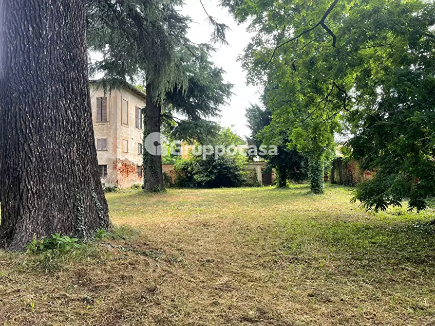 Immagine 4 di Villa in vendita  in Via Roma a Bernate Ticino