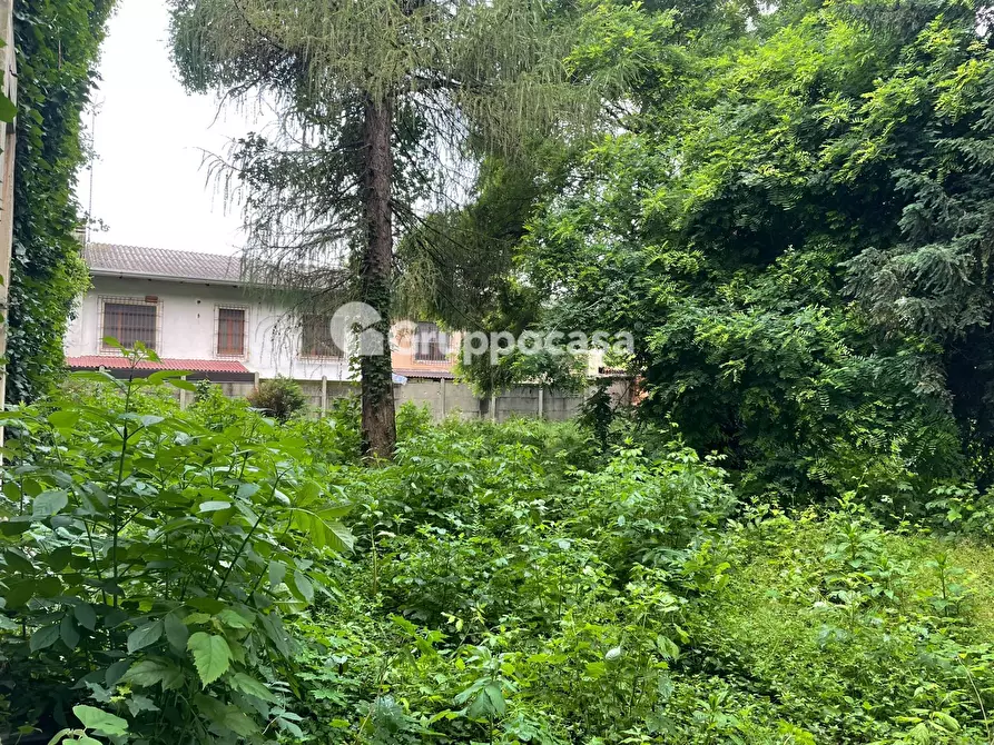 Immagine 28 di Villa in vendita  in Via Roma a Bernate Ticino